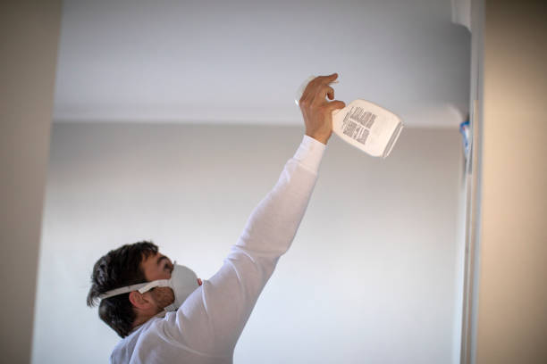 Best Residential Mold Removal  in Tower Lakes, IL
