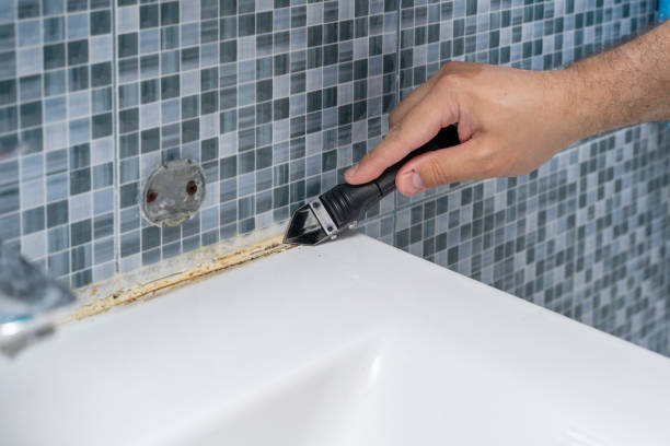Best Mold Remediation  in Tower Lakes, IL