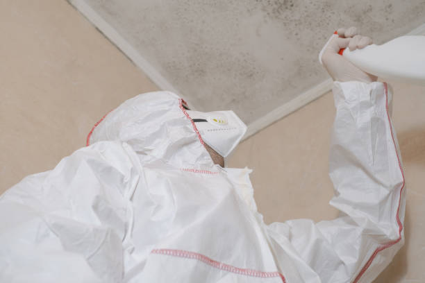 Best Mold Removal and Inspection  in Tower Lakes, IL