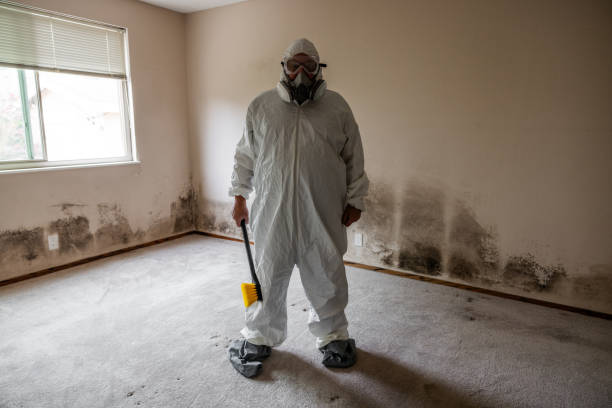 Best Mold Testing  in Tower Lakes, IL
